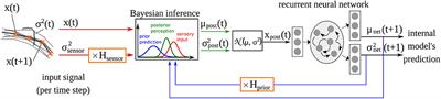 Simulating Developmental and Individual Differences of Drawing Behavior in Children Using a Predictive Coding Model